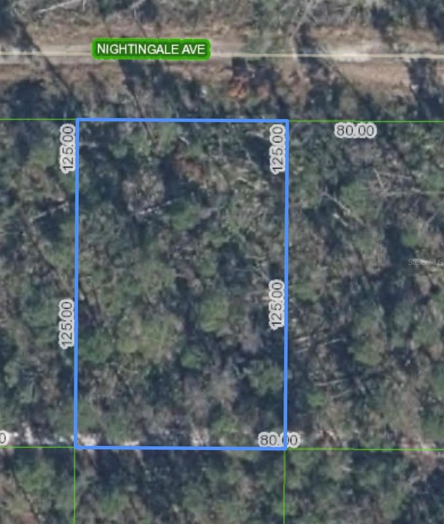 Located in Sebring Hills, SEBRING, FL, PERFECT TO BUILD YOUR DREAM HOME. ZONED R-1, DON'T MISS OUT ON THIS GREAT INVESTMENT. Listing agent is a member of the selling LLC.