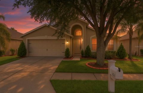 4206 BRANCHSIDE LANE WESLEY CHAPEL FL 33543