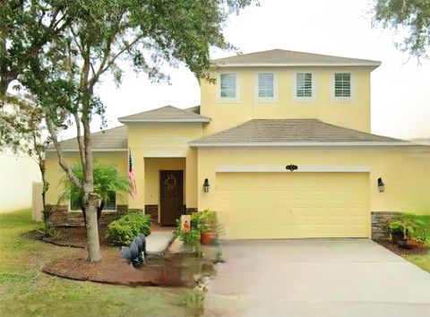 10756 PICTORIAL PARK DRIVE TAMPA FL 33647