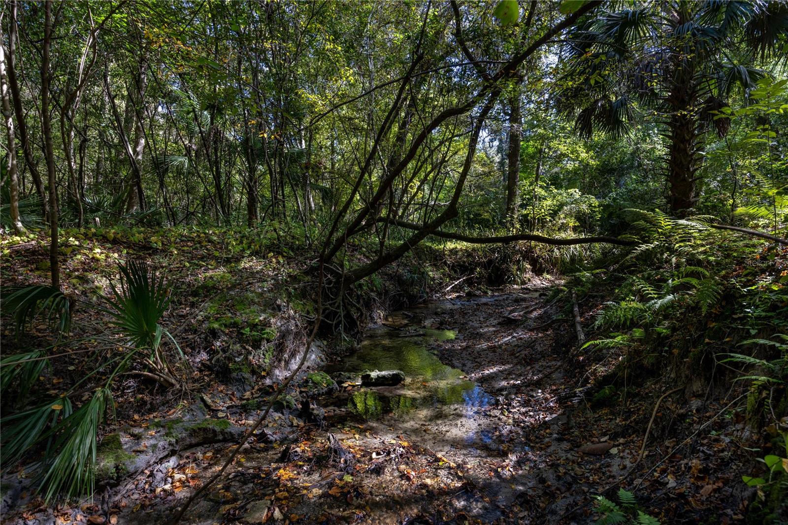 FLORIDA PARK - Residential
