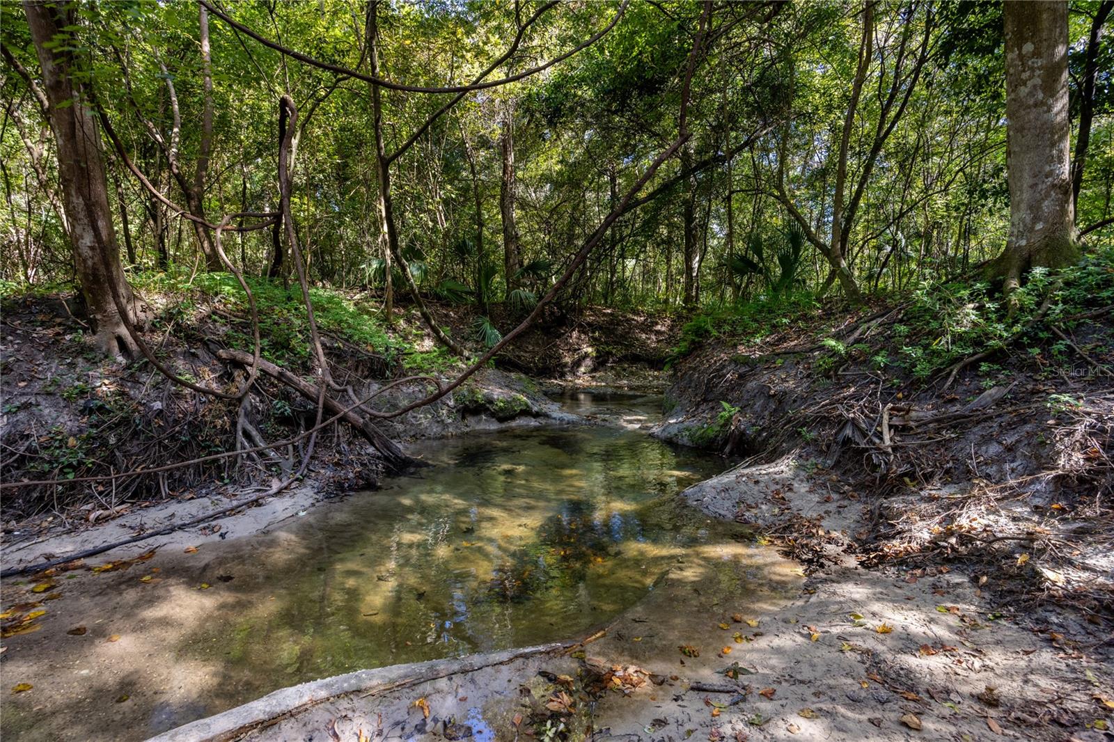 FLORIDA PARK - Residential