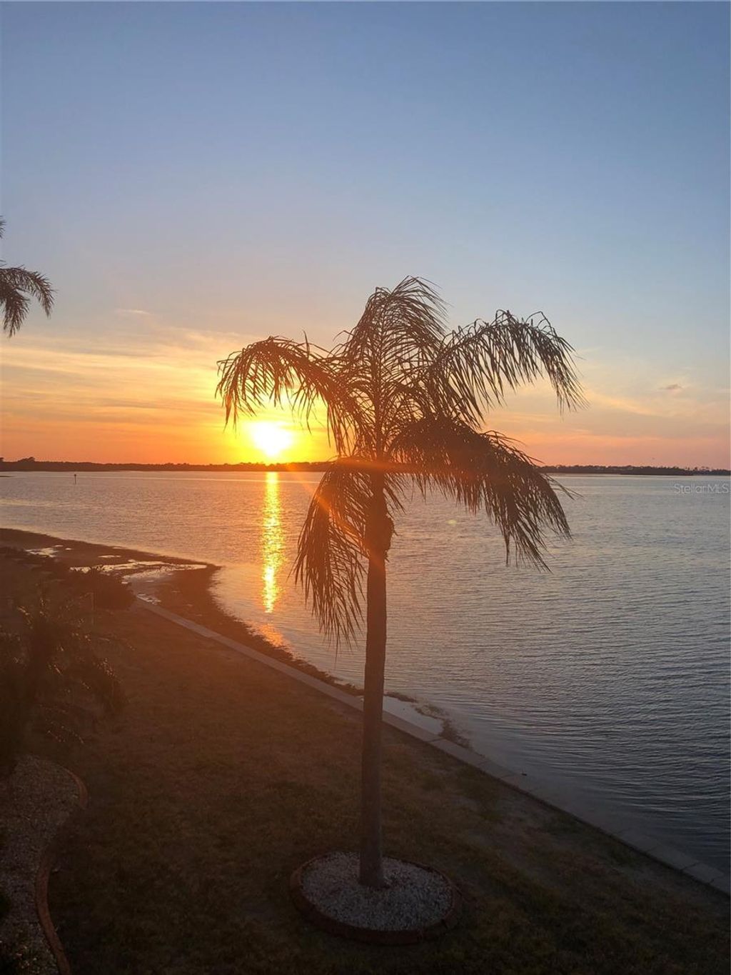 Photo of 7 Dunoon Place #203, Dunedin, FL 34698 (MLS # W7880069)