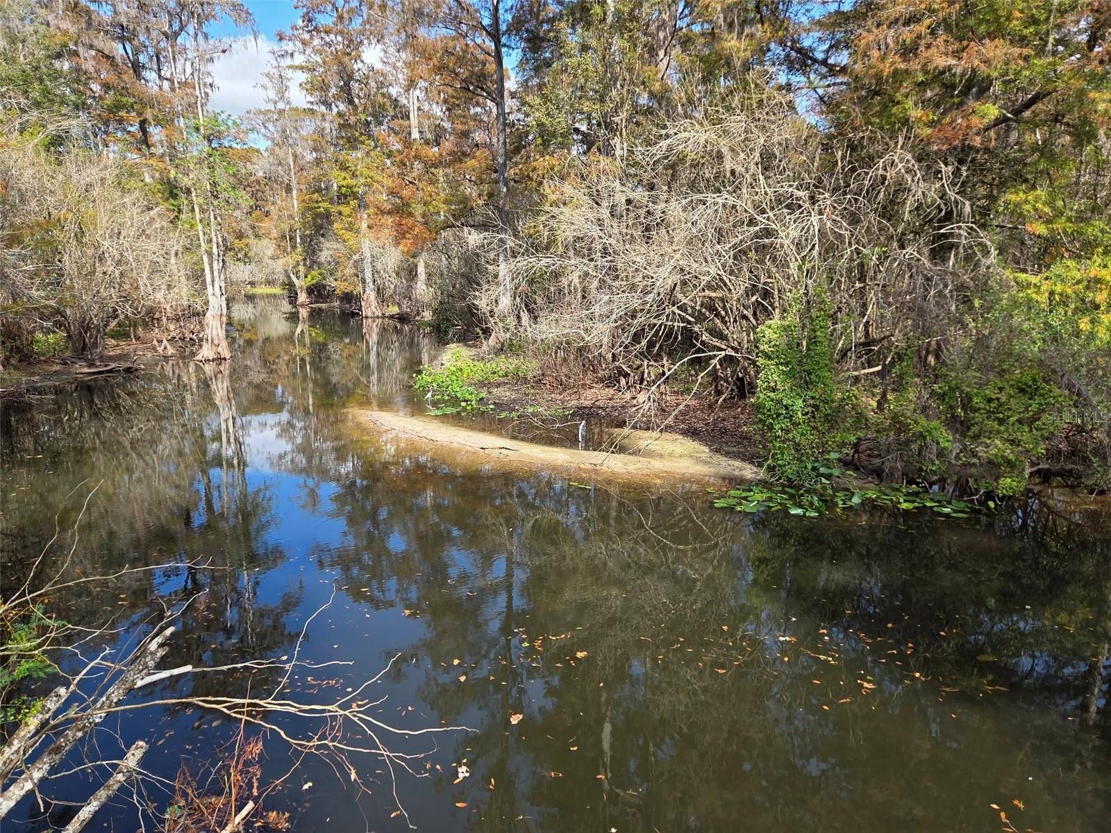 THE PRESERVE AT TEMPLE TERRACE - Residential