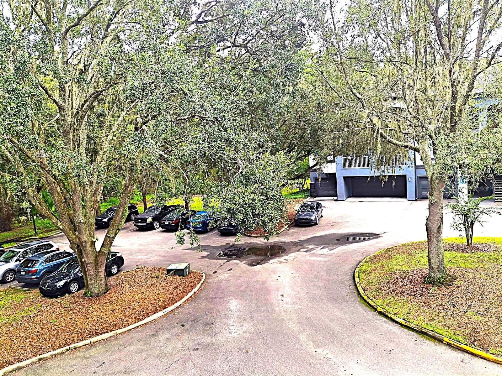 THE PRESERVE AT TEMPLE TERRACE - Residential