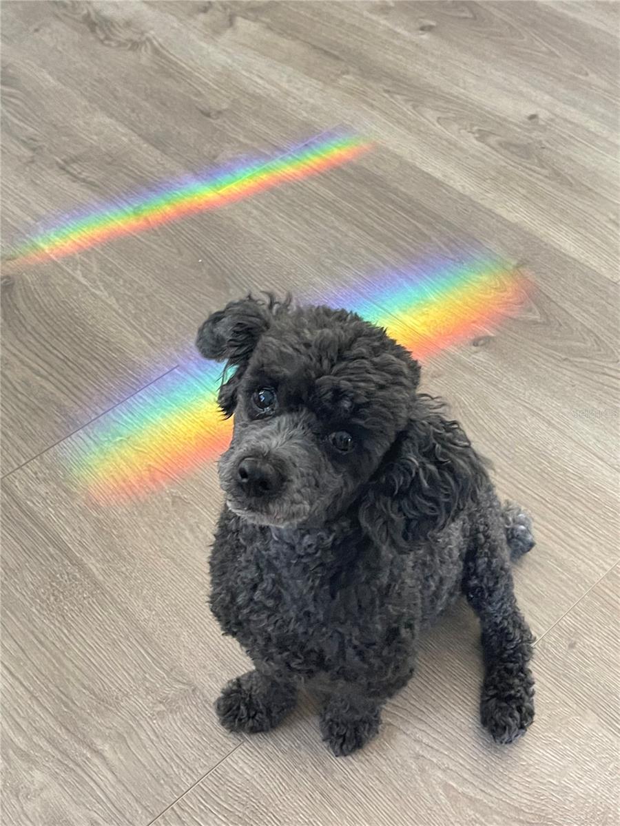 LAKESIDE - Residential