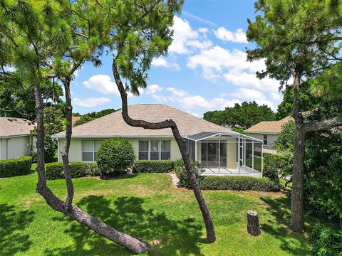 A home in MOUNT DORA