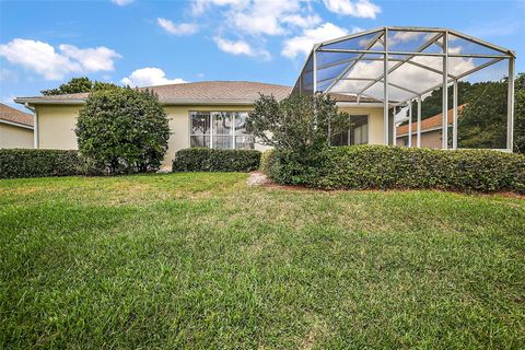 A home in MOUNT DORA