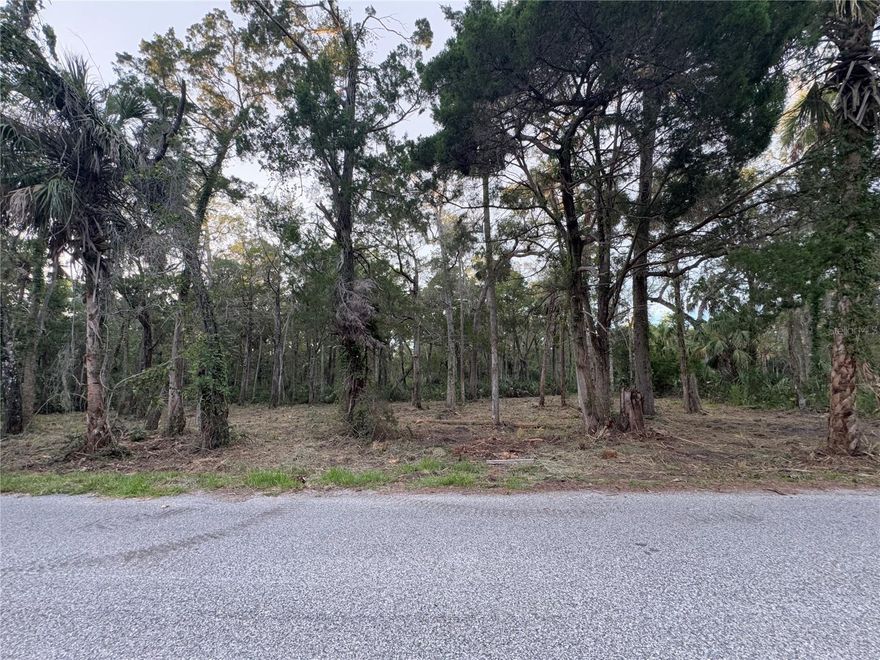 Price Improvement so come take a look!! Old Homosassa Florida can be found on Nature's Coast and is home to this 1.38 Acre Vacant Lot WITH 198' of paved road frontage. NO HOA here, come build your dream home on the 1.38 acre lot or split to sell 1/2 and still have room to park your boat, RV, golf cart and all the toys. These "Old Florida" vacant lots do NOT come up often so stop by and take a look ASAP. Located on W. Eldred Lane and is just off of Mason Creek Rd where you are located 5 minutes from 2 public boat ramps, multiple state parks, restaurants, entertainment and Homosassa Springs. This is a golf cart friendly community where all worries and stress are left behind and you see more carts buzzing around than vehicles. Boat to dinner, near by Ozello, the Gulf of America for great fishing, scalloping, dolphin watching and sunsets then come back to the famous Homosassa springs to rinse/cool off and hope to catch a manatee siting. This is a highly desirable area on Florida’s west coast due to its fun, relaxing “Vacation Fishing Village” vibe that all dream of. Book your showing, check out the attached survey and take a look today.