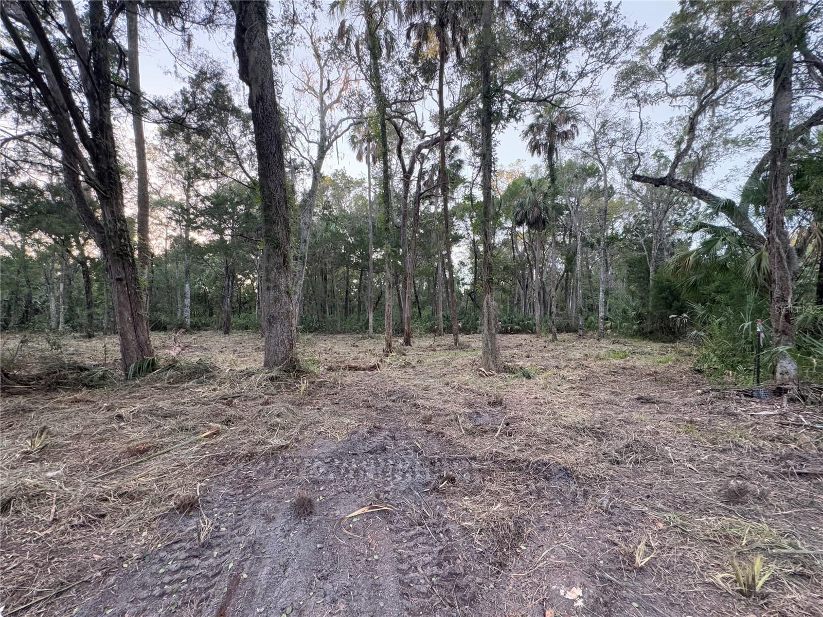 HOMOSASSA COMPANYS SUB 7 - Land