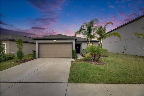 Photo of 6927 Shelby Lynn Way, Zephyrhills, FL 33542 (MLS # TB8474660)
