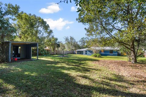 A home in DELAND