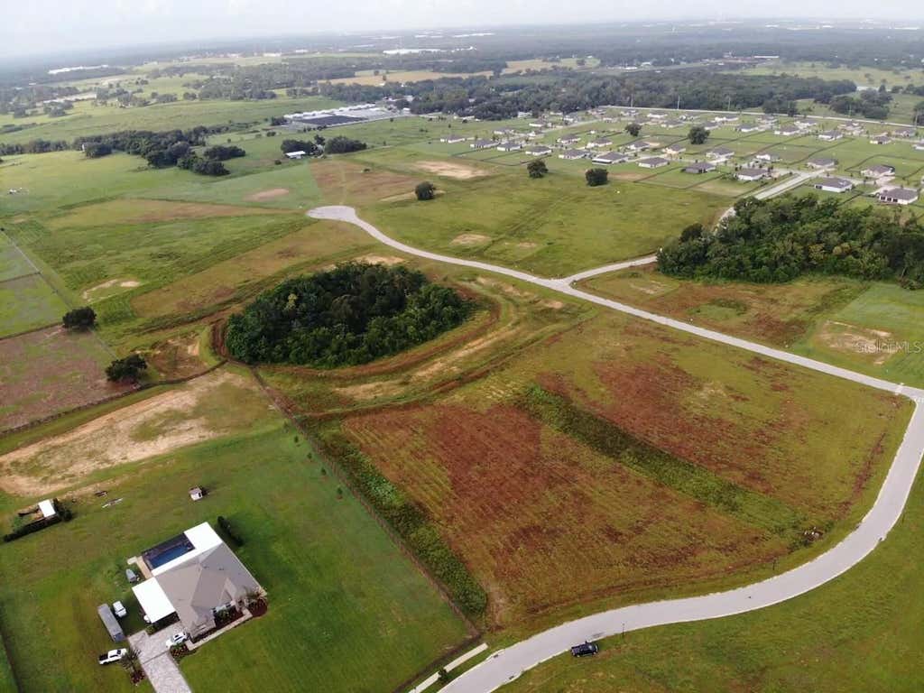Photo of 11625 Spoonbill Run Drive, Thonotosassa, FL 33592 (MLS # O6434557)