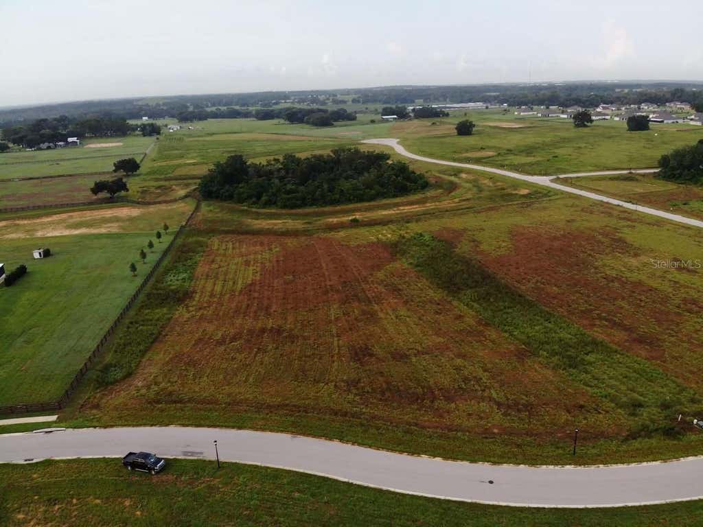 Photo of 11625 Spoonbill Run Drive, Thonotosassa, FL 33592 (MLS # O6434557)