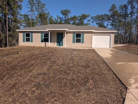 Photo of 55 SW Tree Top Road, Dunnellon, FL 34431 (MLS # OM697263)