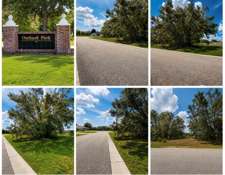 Seize the opportunity to own this exceptional .46-acre parcel in the prestigious Orchard Park III subdivision. Nestled at the end of a quiet cul-de-sac, this lot offers the perfect blend of privacy and potential. Surrounded by grand, stately homes with manicured lawns in a pristine neighborhood, this parcel provides the ideal setting for your custom home. With a low HOA and approval required, you can enjoy a well-maintained community while still having the freedom to design your dream retreat. Conveniently located just minutes from all the amenities of Spring Hill, this is a rare opportunity to build in one of the area's most desirable locations.