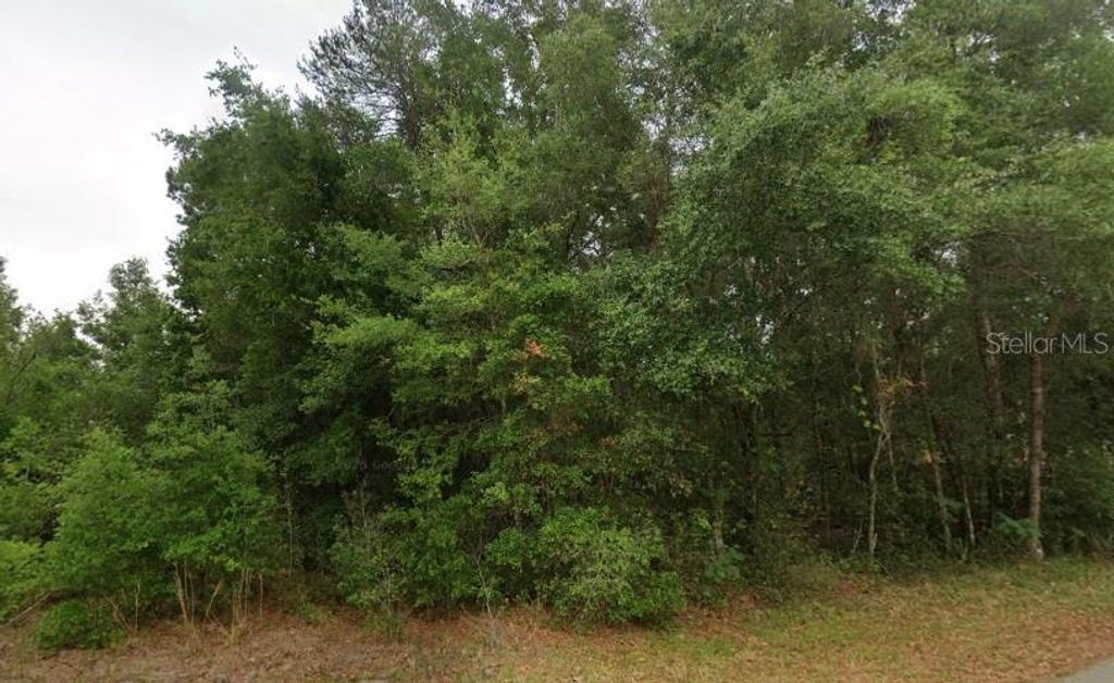 Photo of 8681 N Catapane Loop, Crystal River, FL 34428 (MLS # O6311417)