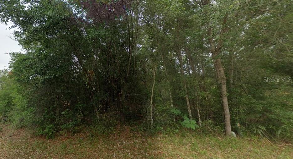 Build Your Dream in Crystal River - Discover the perfect opportunity to own a 0.23-acre vacant lot nestled in the peaceful De Rosa, Inc. Unit 4 subdivision. Located just 10 minutes from Crystal River’s main shopping and dining areas, this residential lot is zoned RUR (Rural Residential) and offers paved road access in a growing area known for its tranquility and natural beauty.
This property is ideal for those looking to build a single-family home in a serene yet accessible location. Enjoy nearby springs, rivers, state parks, and Gulf Coast activities, all while being tucked away in a quiet community.