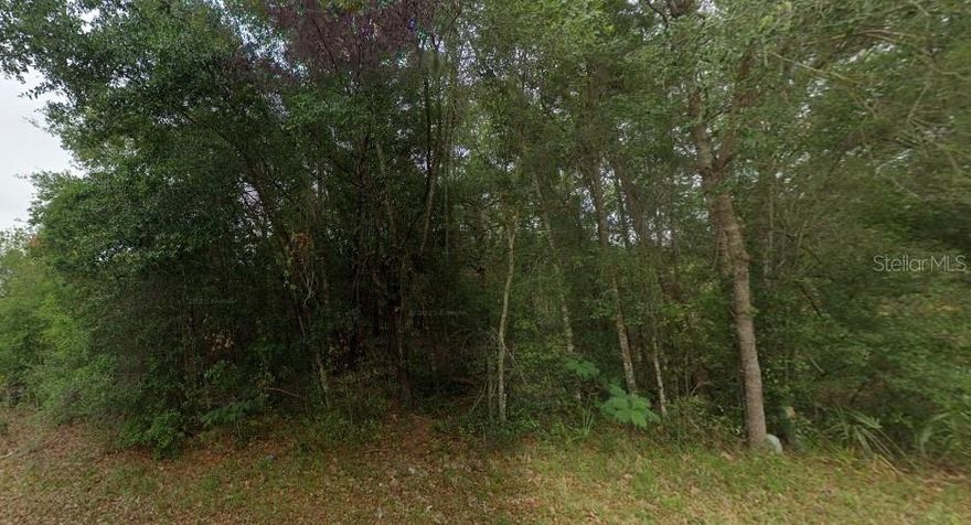 Build Your Dream in Crystal River - Discover the perfect opportunity to own a 0.23-acre vacant lot nestled in the peaceful De Rosa, Inc. Unit 4 subdivision. Located just 10 minutes from Crystal River’s main shopping and dining areas, this residential lot is zoned RUR (Rural Residential) and offers paved road access in a growing area known for its tranquility and natural beauty.

This property is ideal for those looking to build a single-family home in a serene yet accessible location. Enjoy nearby springs, rivers, state parks, and Gulf Coast activities, all while being tucked away in a quiet community.