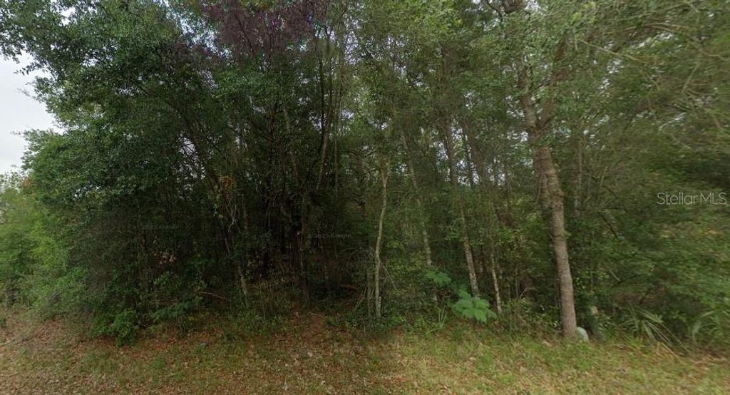 Photo of 8681 N Catapane Loop, Crystal River, FL 34428 (MLS # O6311417)
