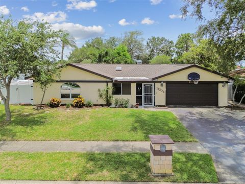 12306 91ST TERRACE SEMINOLE FL 33772