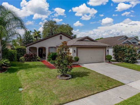 A home in LAND O LAKES