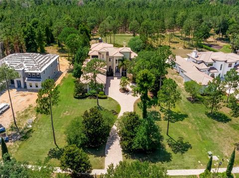 A home in MONTVERDE