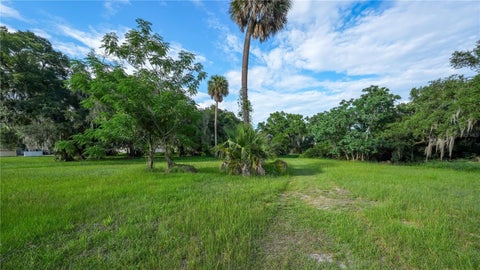 Tiny photo for Tbd County Road 19a, Eustis, FL 32726 (MLS # G5117206)