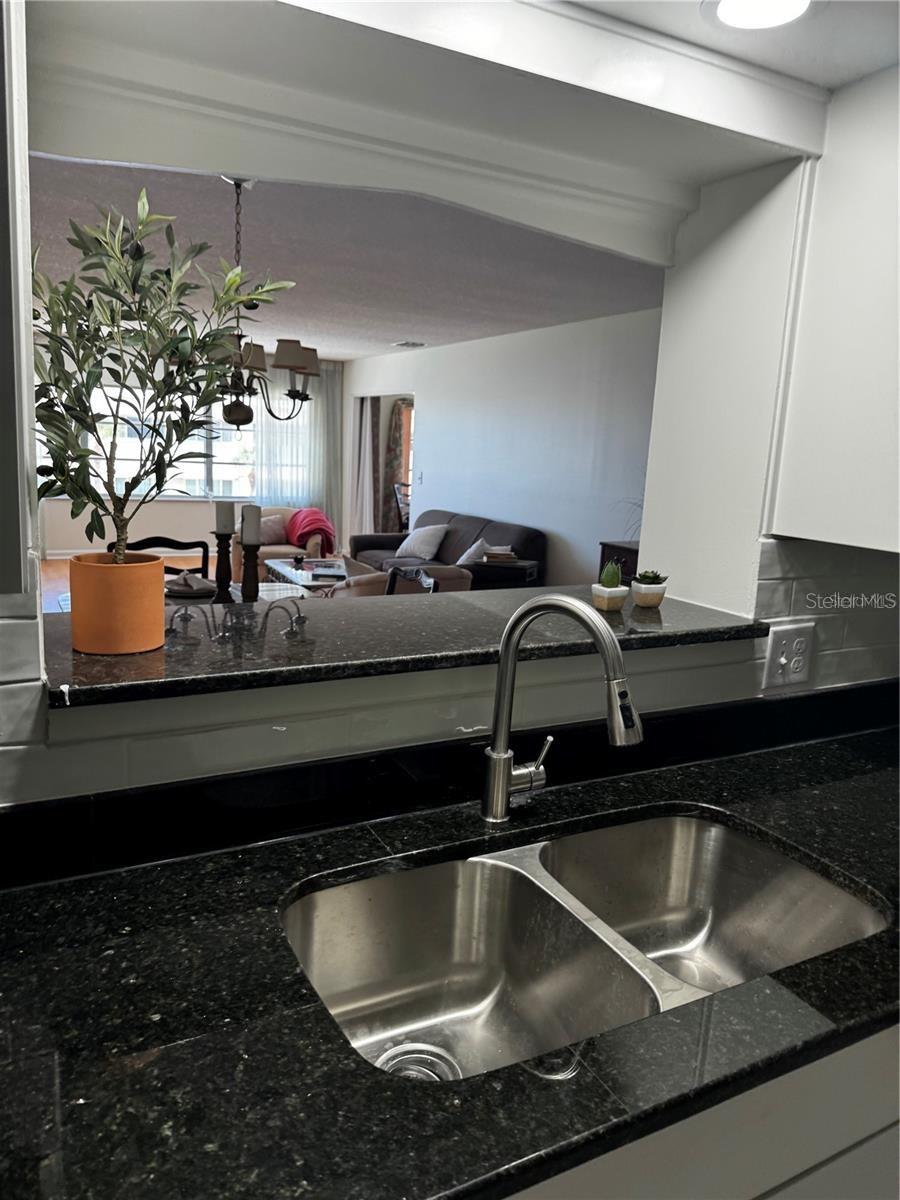 100 BLUFF VIEW DRIVE 308A
