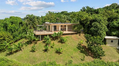 Carr 361 KM 8.3 SAN GERMAN  00683