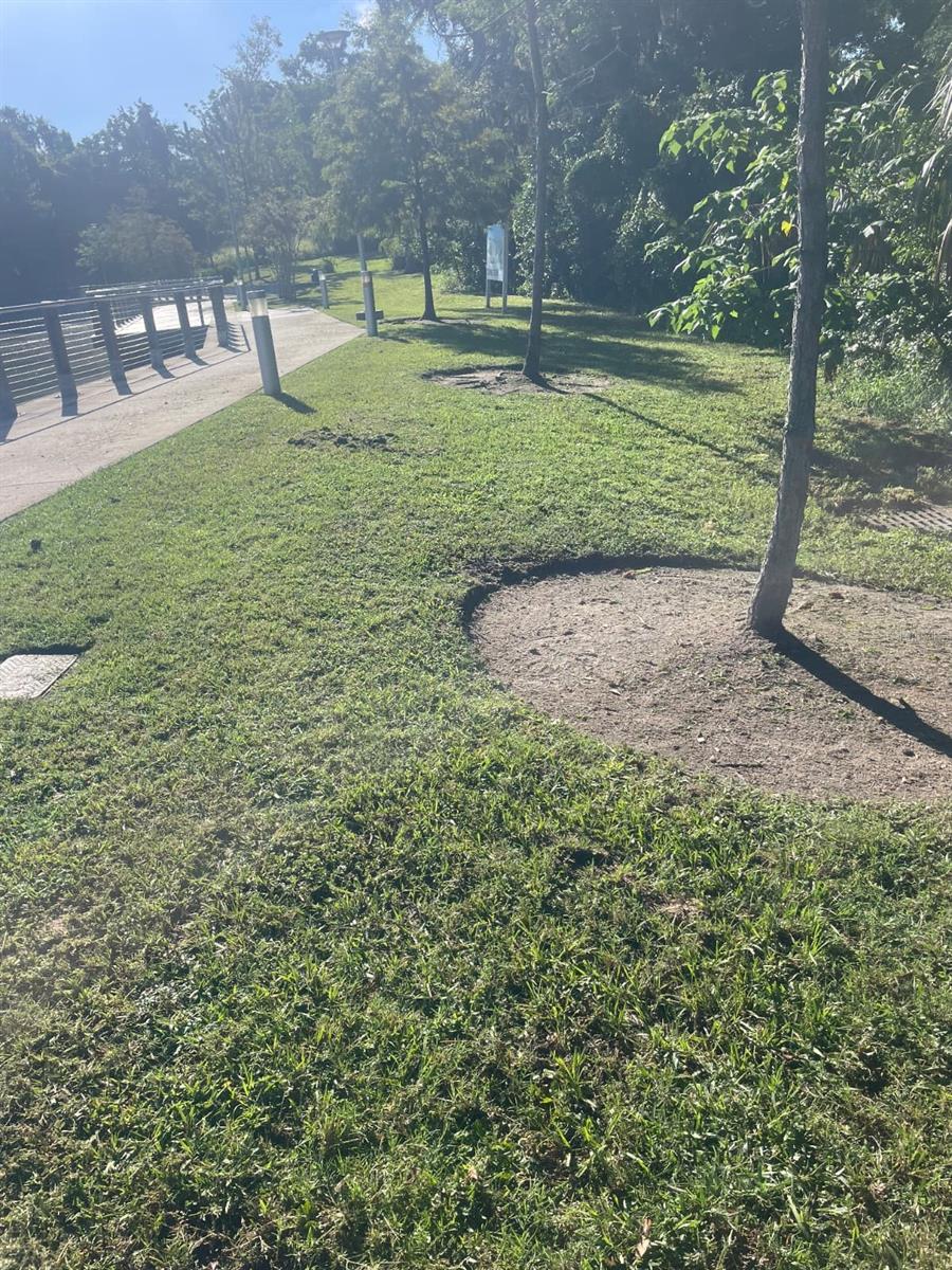 1000 W MONTROSE STREET