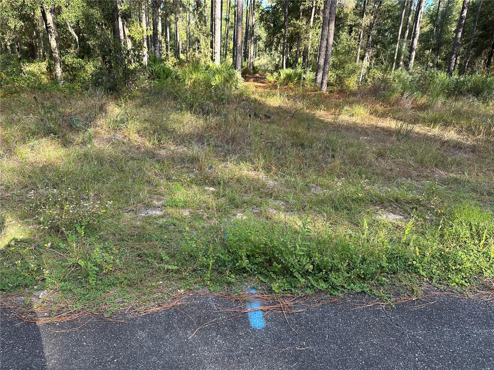 001435 - PINE RIDGE UNIT 2 - Land