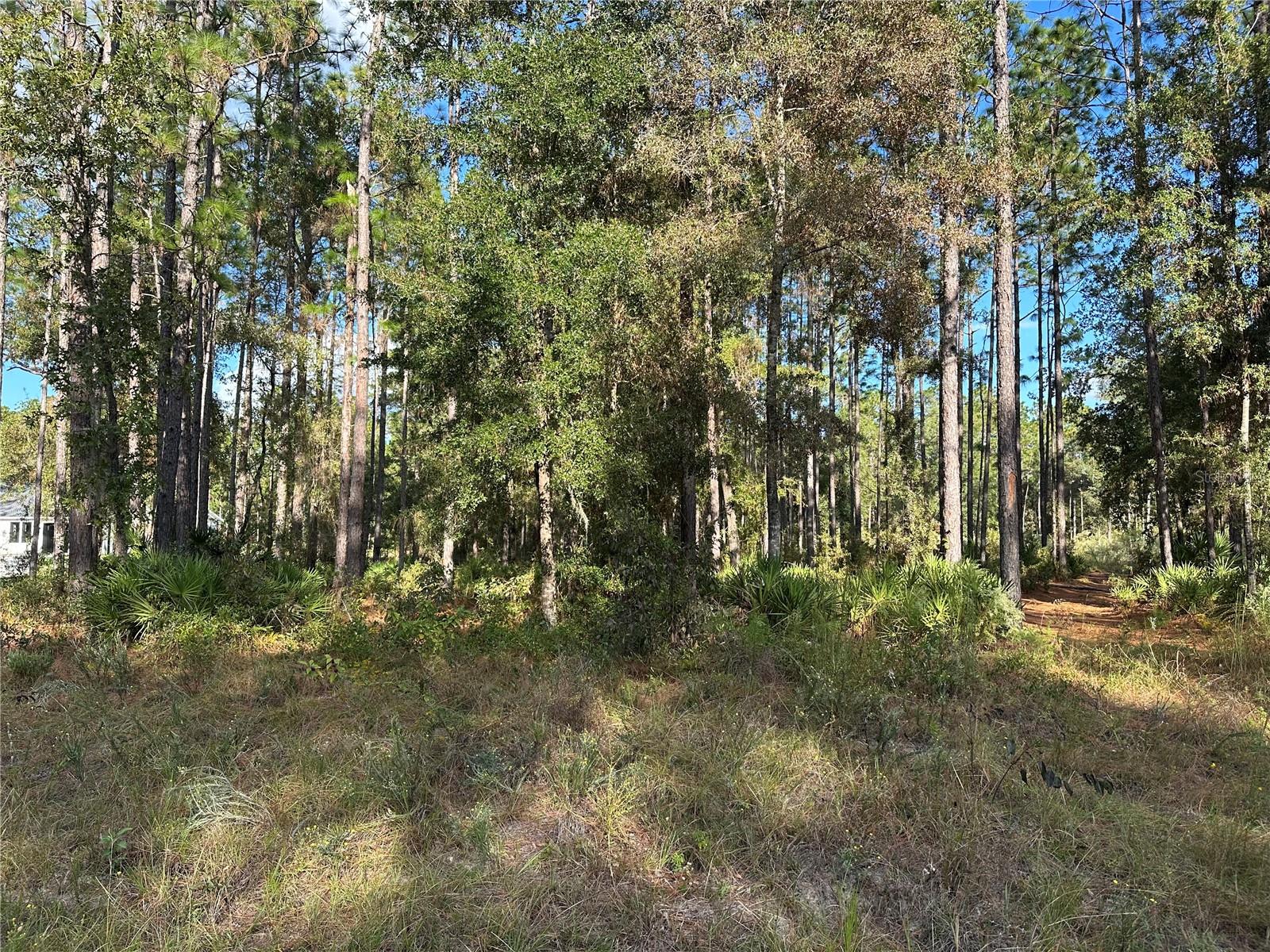 001435 - PINE RIDGE UNIT 2 - Land
