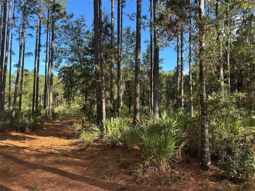 READY TO BUILD on 2.75-Acre Haven in Pine Ridge Estates.  This beautifully treed 2.75-acre lot sits in the heart of the highly desirable Pine Ridge equestrian community, offering the ideal mix of country serenity and everyday convenience. WATER IS CONNECTED and IMPACT FEES are already paid, just bring your dream home plans and start building your future.
Enjoy a lifestyle surrounded by nature and friendly neighbors. Pine Ridge is made for those who love the outdoors, with 28 miles of scenic riding and hiking trails, tennis and pickleball courts, an EQUESTRIAN CENTER with co-op boarding, and a lively community hub complete with a playground, BBQ and picnic areas, an RC flying field, and a calendar full of activities—from bingo and clubs to seasonal gatherings.
Here, you can breathe a little deeper, slow down, and truly enjoy the best of Florida’s Nature Coast. Pine Ridge is more than a neighborhood—it’s a lifestyle. Come see why so many love to call it home. Dont wait.