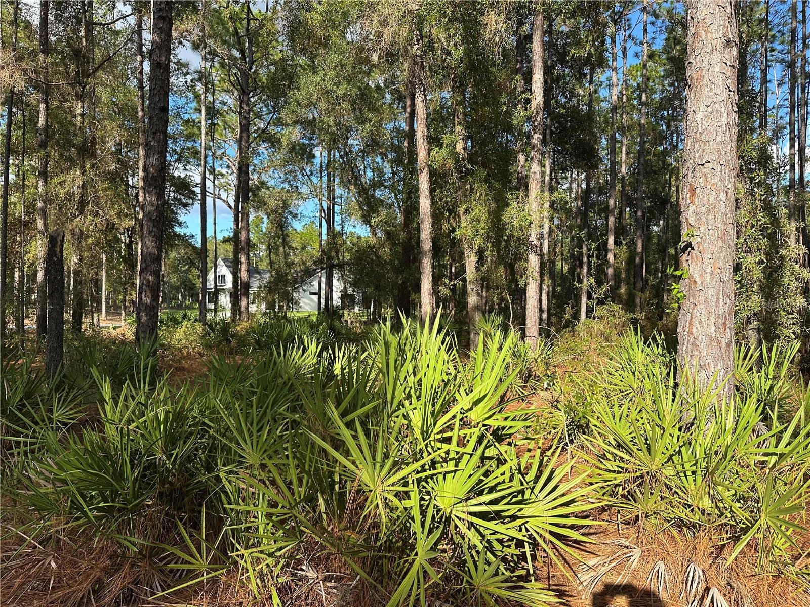 001435 - PINE RIDGE UNIT 2 - Land