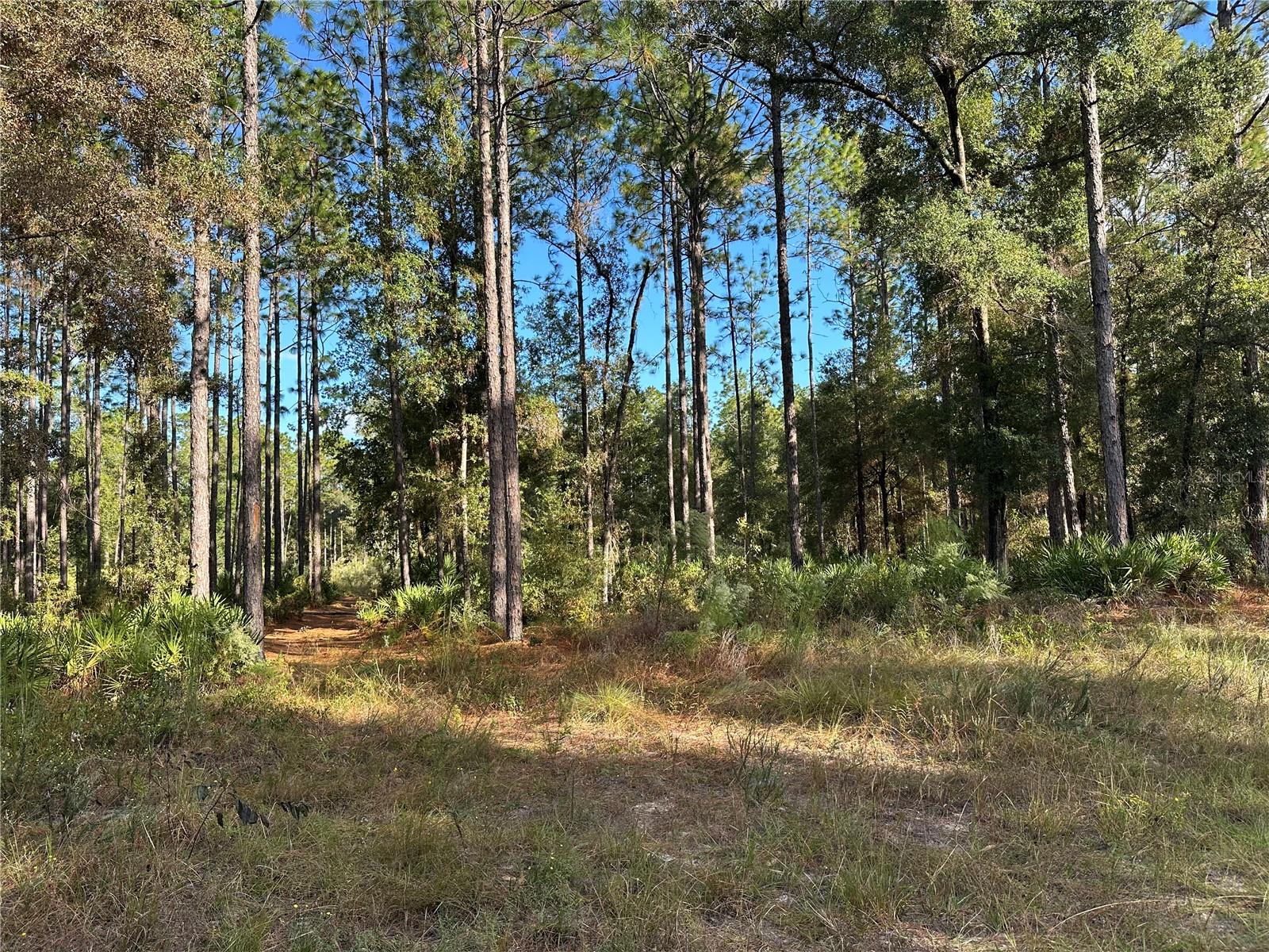 001435 - PINE RIDGE UNIT 2 - Land