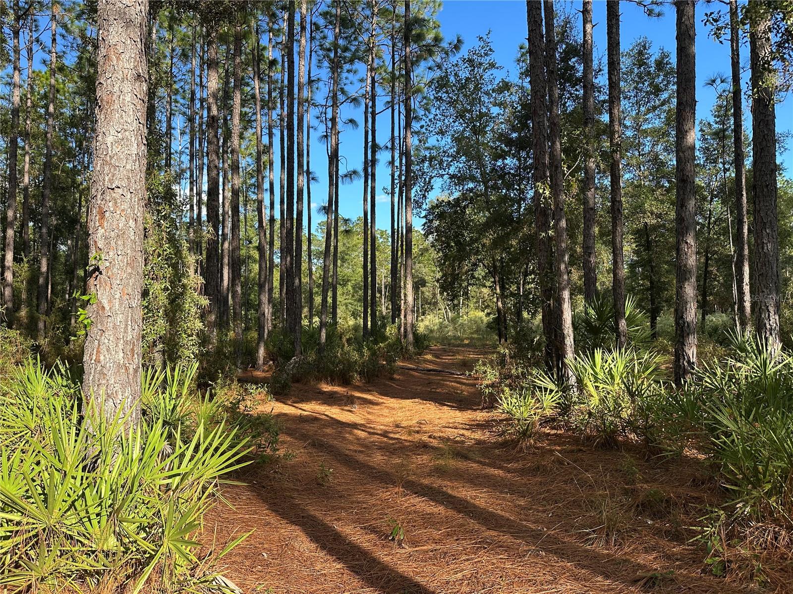001435 - PINE RIDGE UNIT 2 - Land