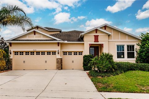 A home in MOUNT DORA