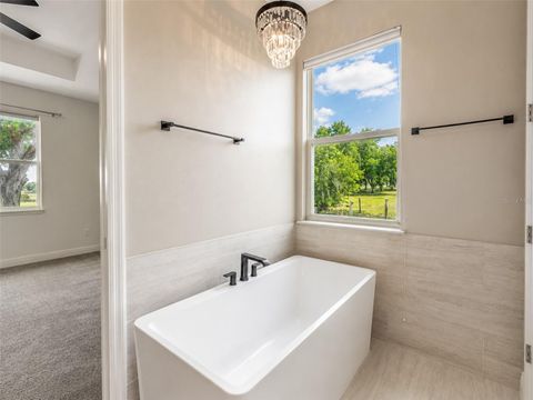 Tiny photo for 13810 Rester Road, Groveland, FL 34736 (MLS # G5112332)