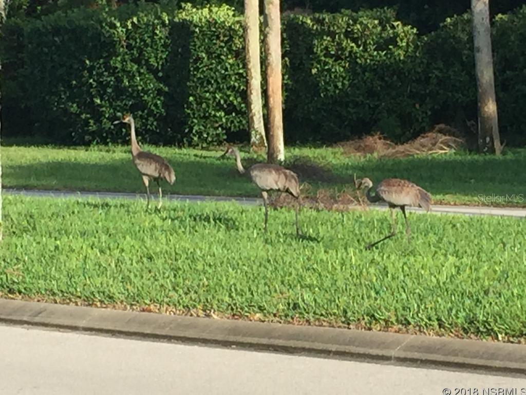 Golden Bay Colony Ph E - Residential