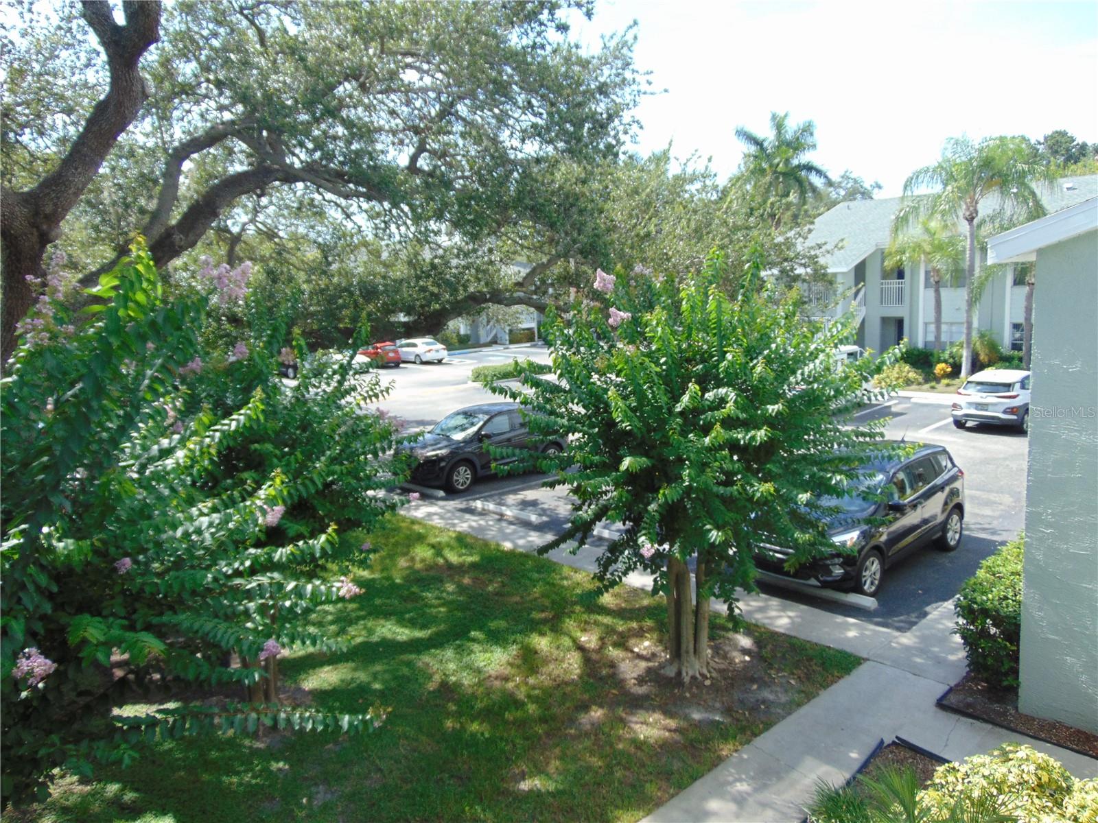 THE PRESERVE AT SOUTH TAMPA A - Residential