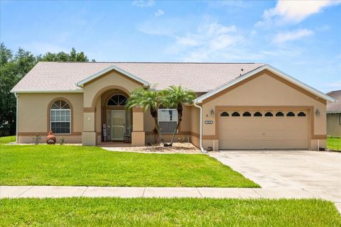 Photo of 14453 Pine Cone Trail, Clermont, FL 34711 (MLS # G5099641)