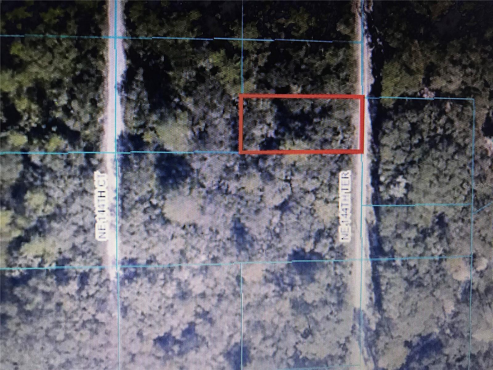 This is your chance to purchase the perfect weekend getaway or a site to build your "Cabin in the Woods". Located Northeast of Ocala and near the Ocklawaha River and the Ocala National Forest. Just a short drive to Silver Springs State Park to kayak or canoe the five-mile Silver River. Also located just 30 miles from the beautiful World Equestrian Center in Ocala. It is priced to sell and owner says bring all offers!