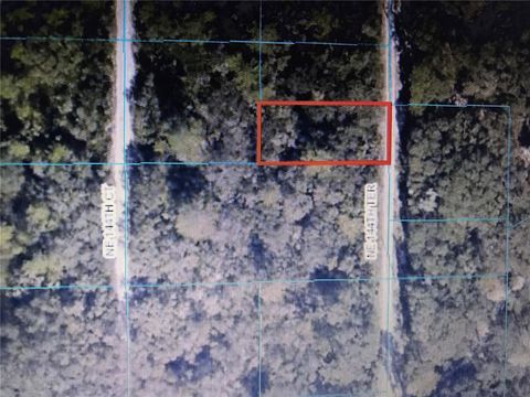 TBA NE 144TH TERRACE FORT MC COY FL 32134