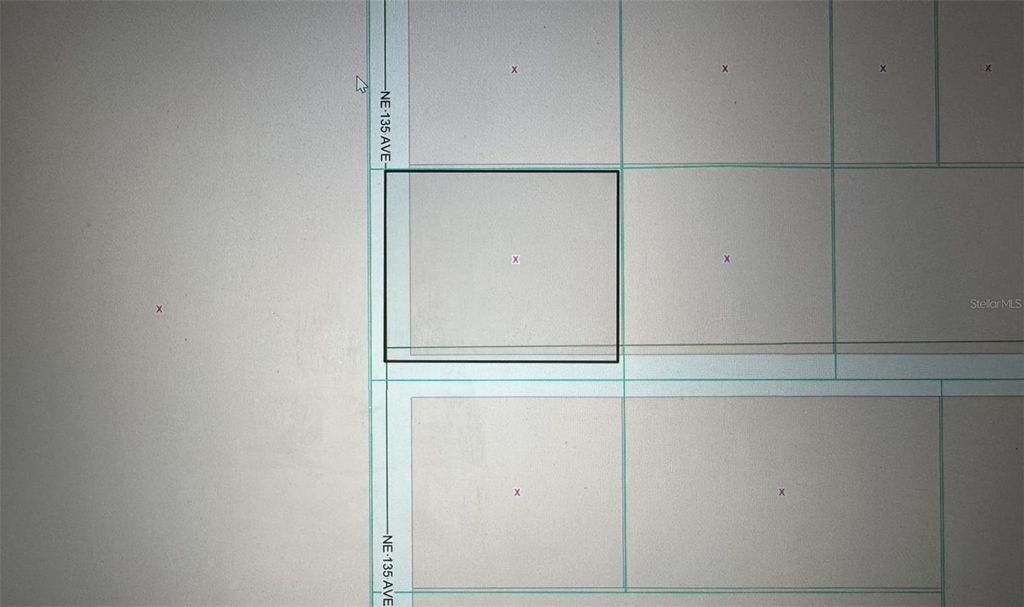 Photo of Tbd NE 135 Avenue, Fort Mccoy, FL 32134 (MLS # OM718890)