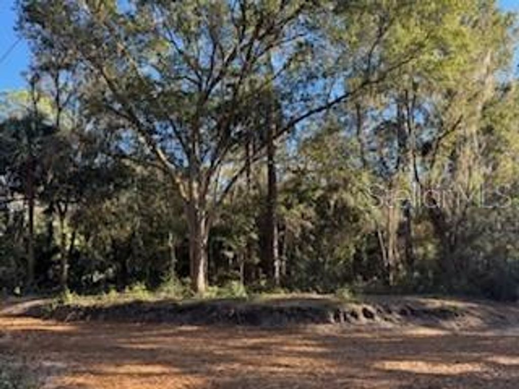 Photo of Tbd NE 135 Avenue, Fort Mccoy, FL 32134 (MLS # OM718890)