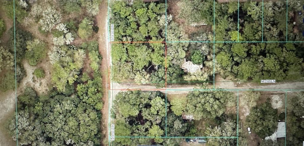Photo of Tbd NE 135 Avenue, Fort Mccoy, FL 32134 (MLS # OM718890)