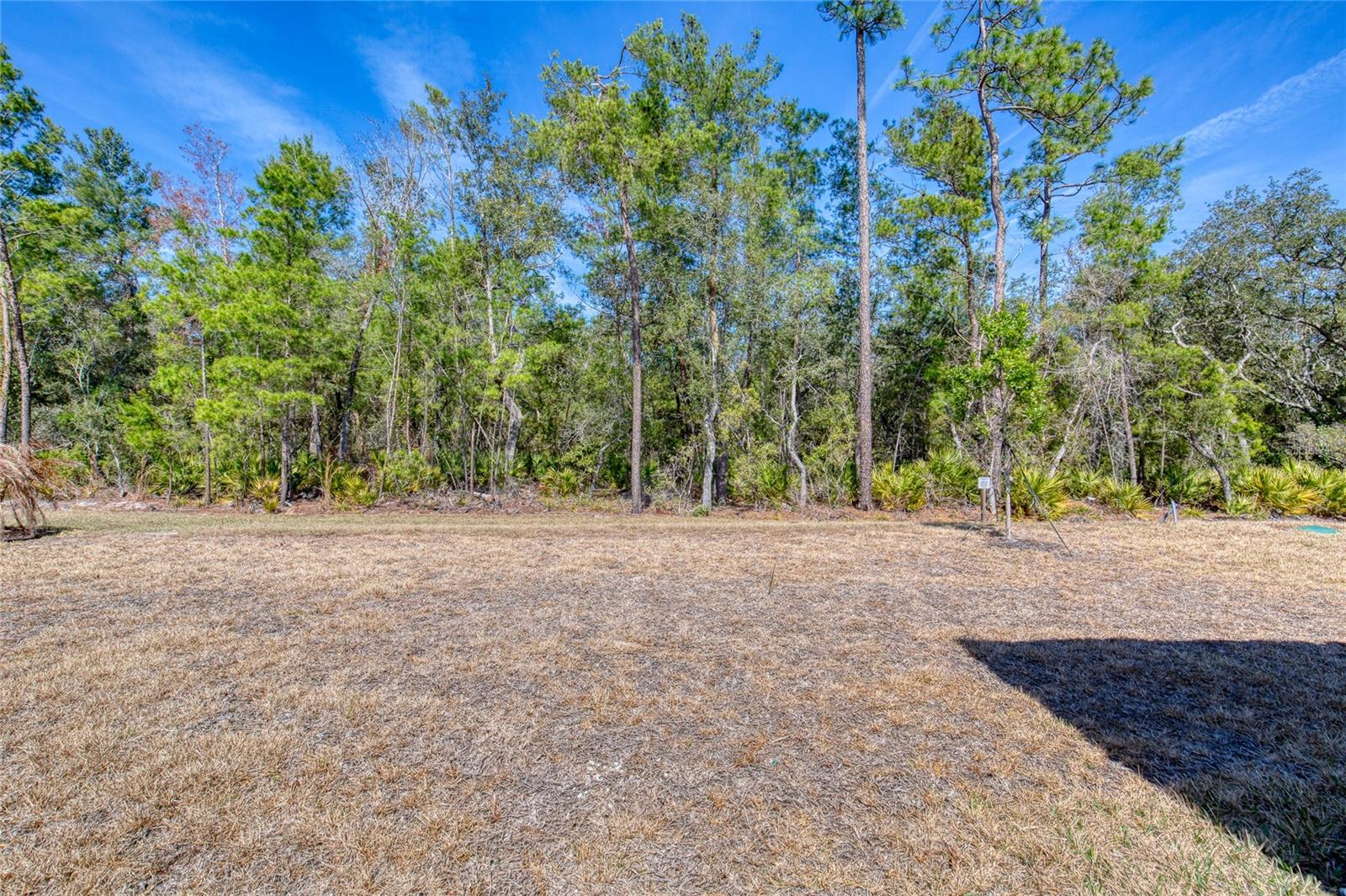 LATITUDE/DAYTONA BEACH CLOAR - Residential