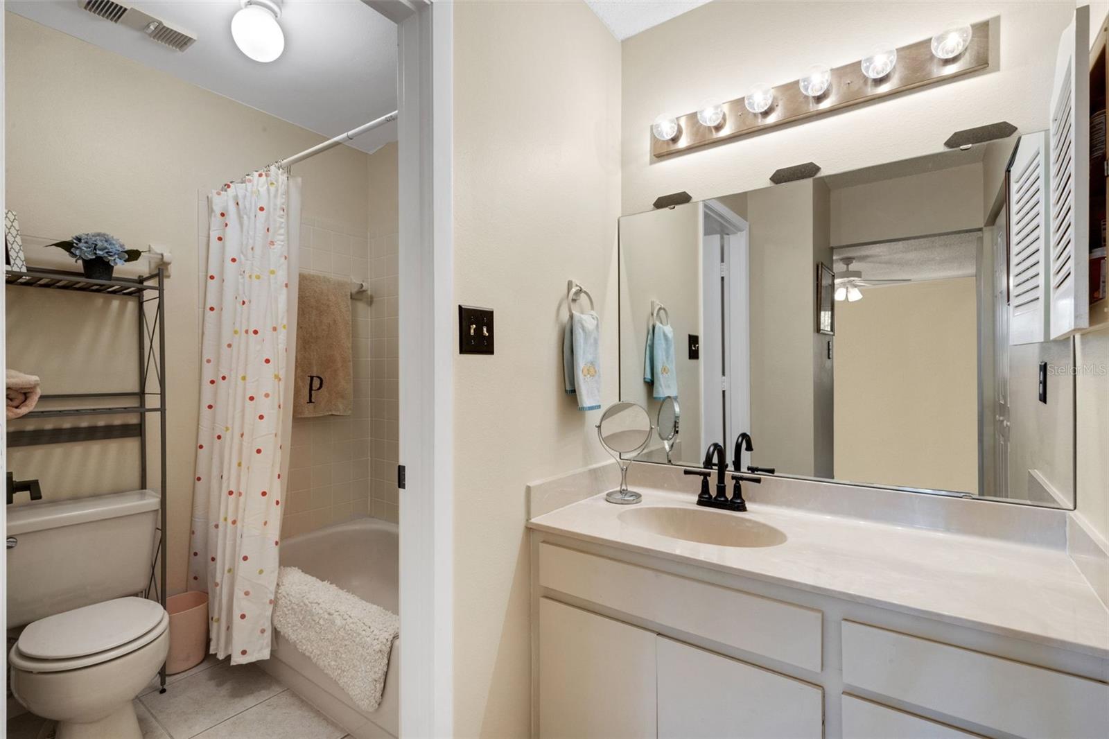 VILLAGE LAKE - Residential