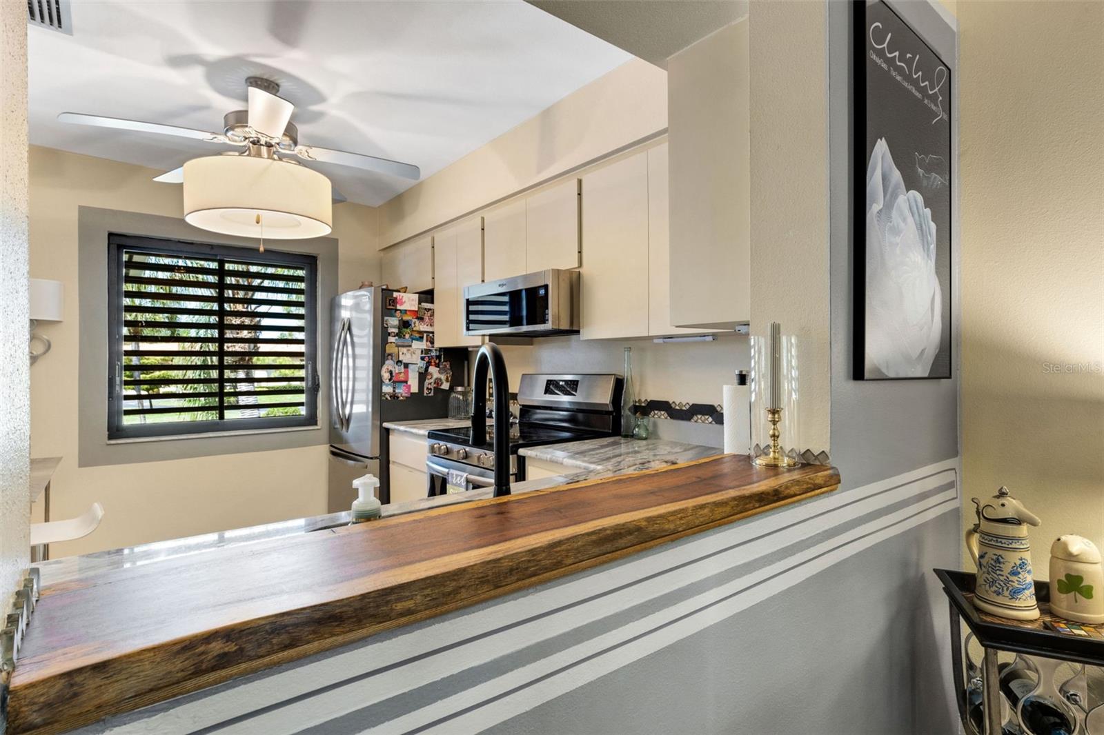 VILLAGE LAKE - Residential