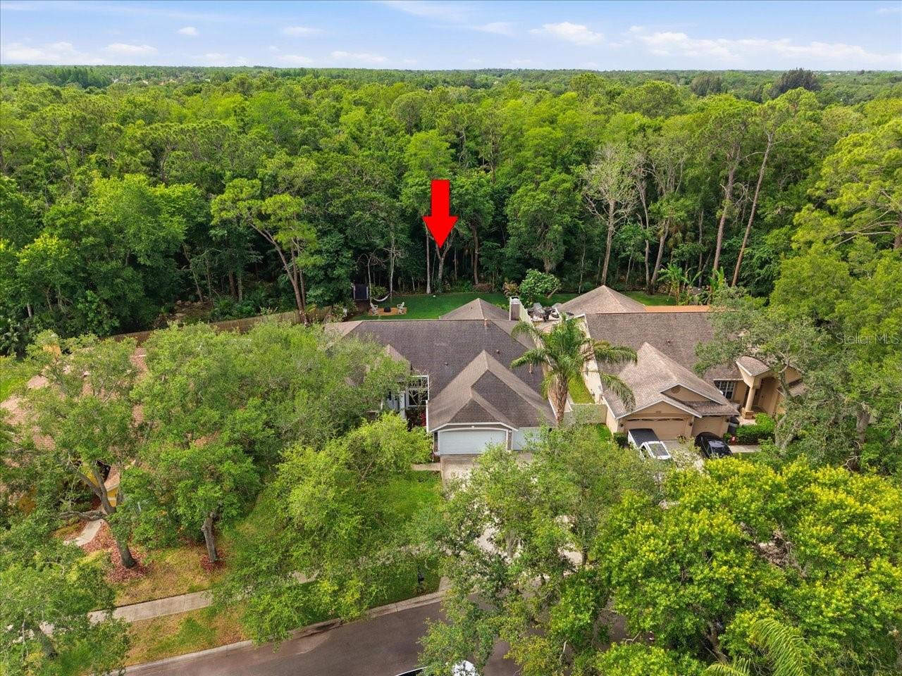 WESTCHASE SEC 117 - Residential
